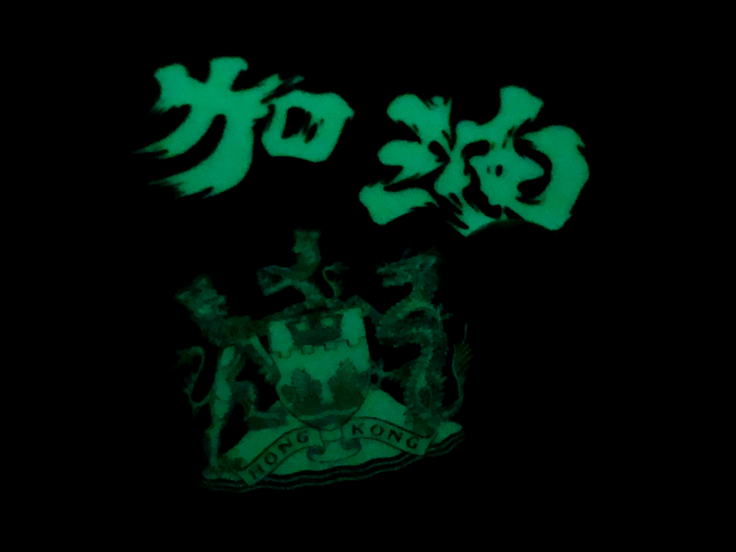 為香港人加油 夜光貼紙 Glow in the dark sticker 🇩🇰 Made in Denmark