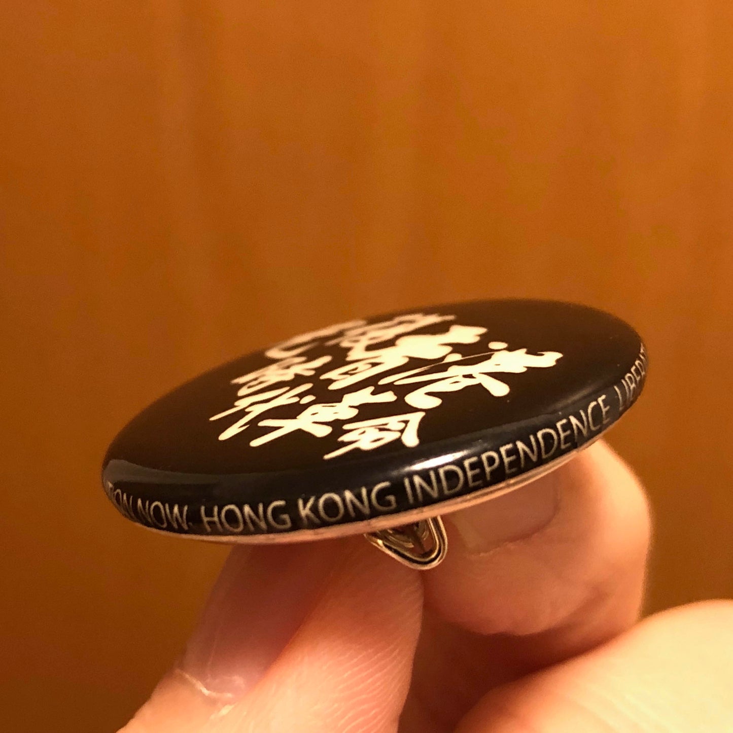夜光 Pin Badge 光復香港 🇩🇪 Made in Germany