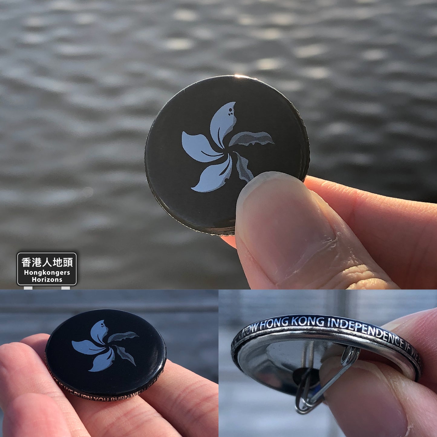 HongKonger Black Bauhinia Flag Metallic Badge 🇩🇪 Made in Germany